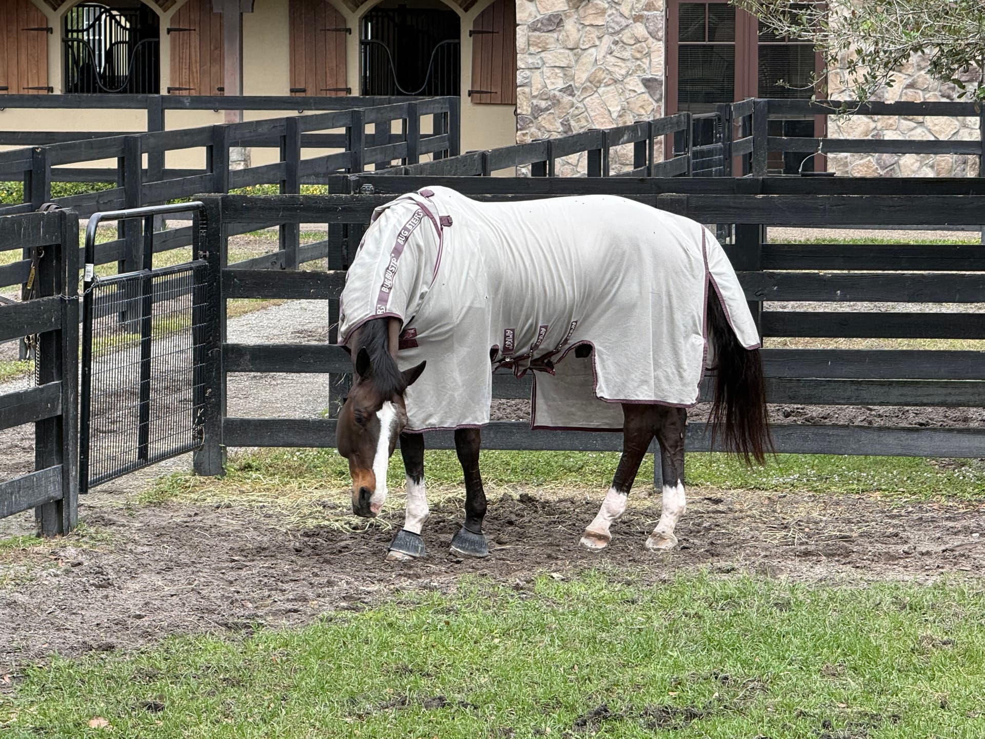 Gallery photos for Exterior Shine for Equestrian Home in Wellington: Image #4