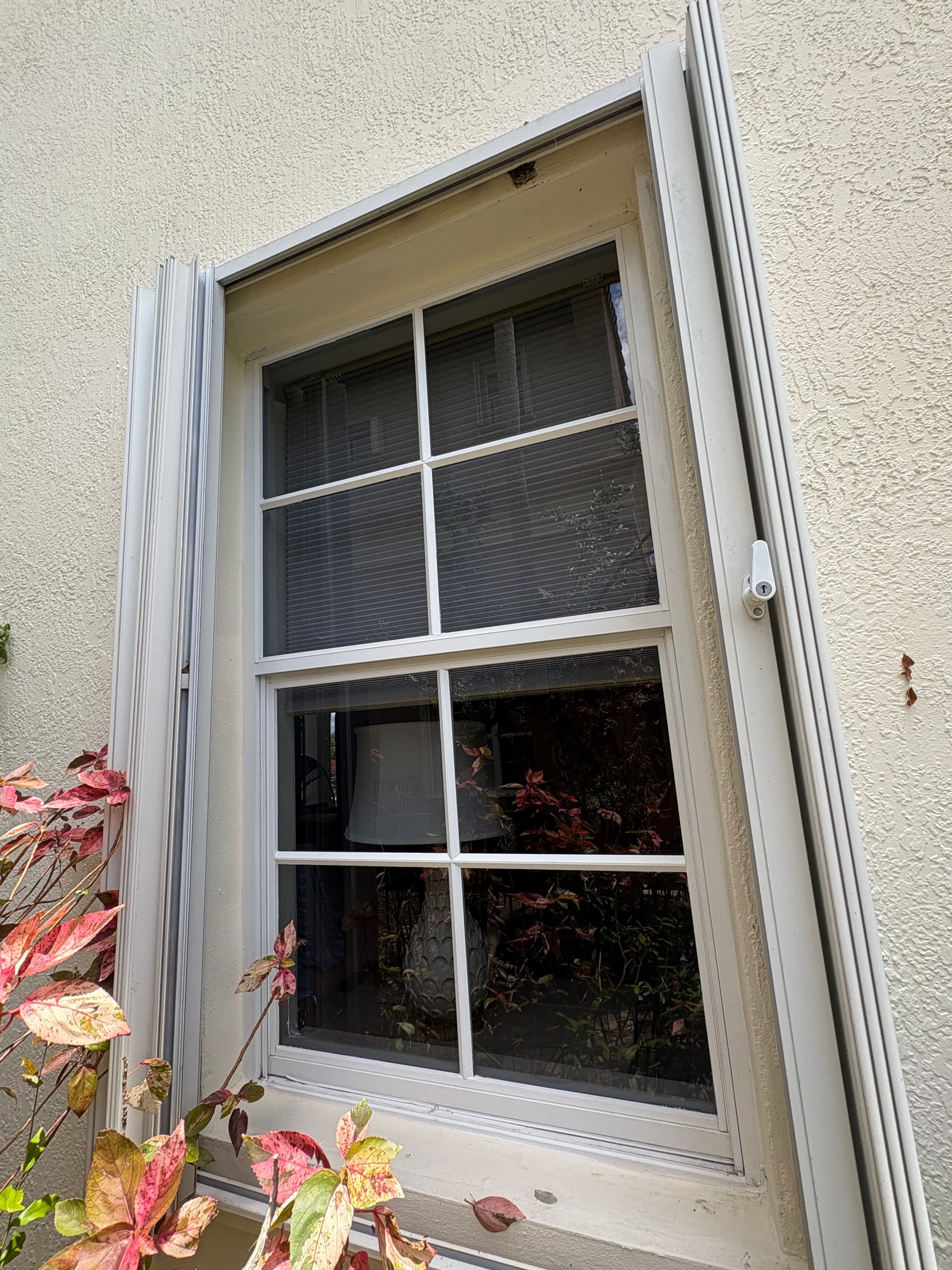 Gallery photos for Why Homeowners Are Signing Up for Window Cleaning Service Plans: Image #1
