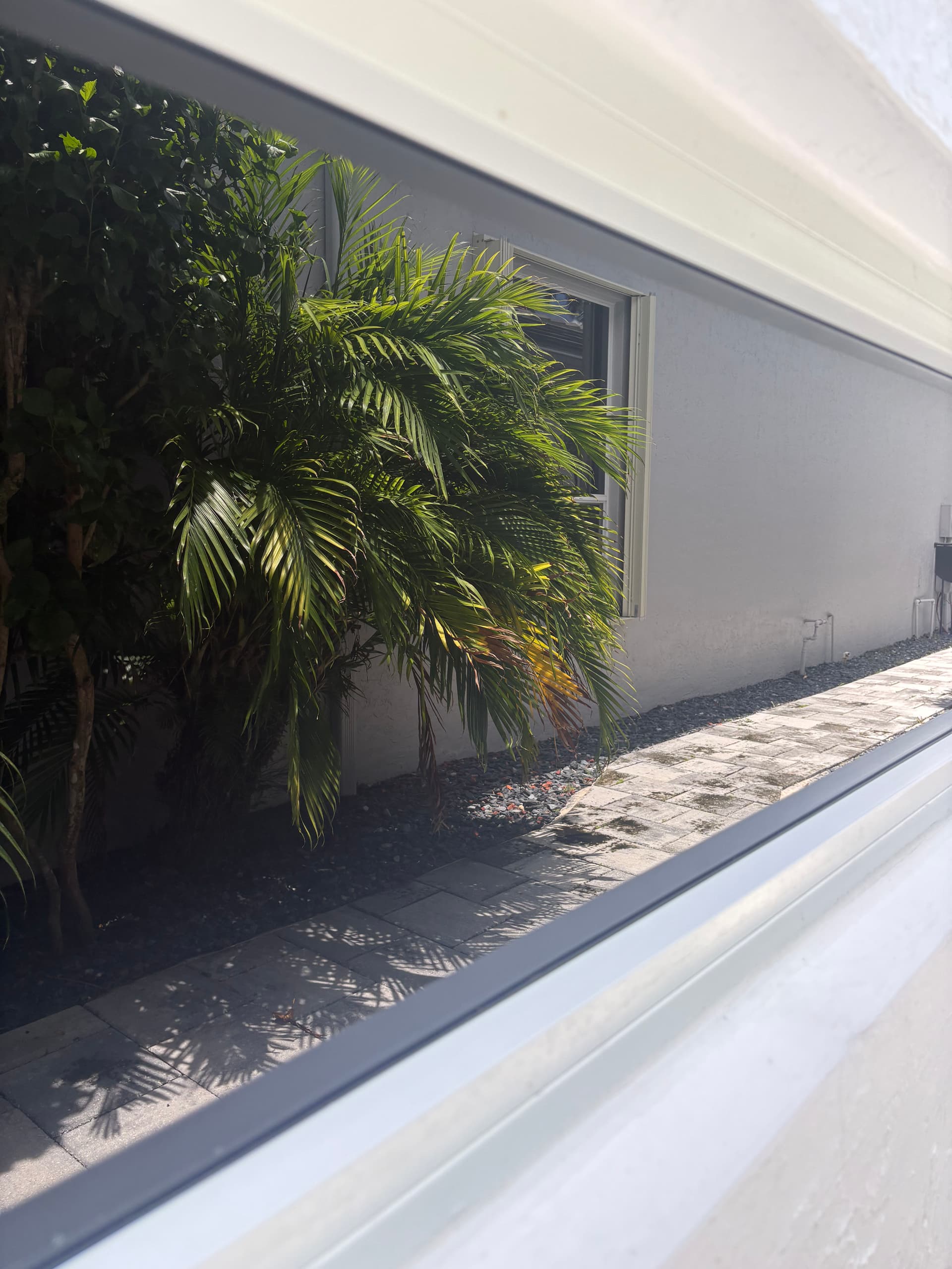 Gallery photos for Exterior Window Cleaning at a Mirasol Home: Image #4