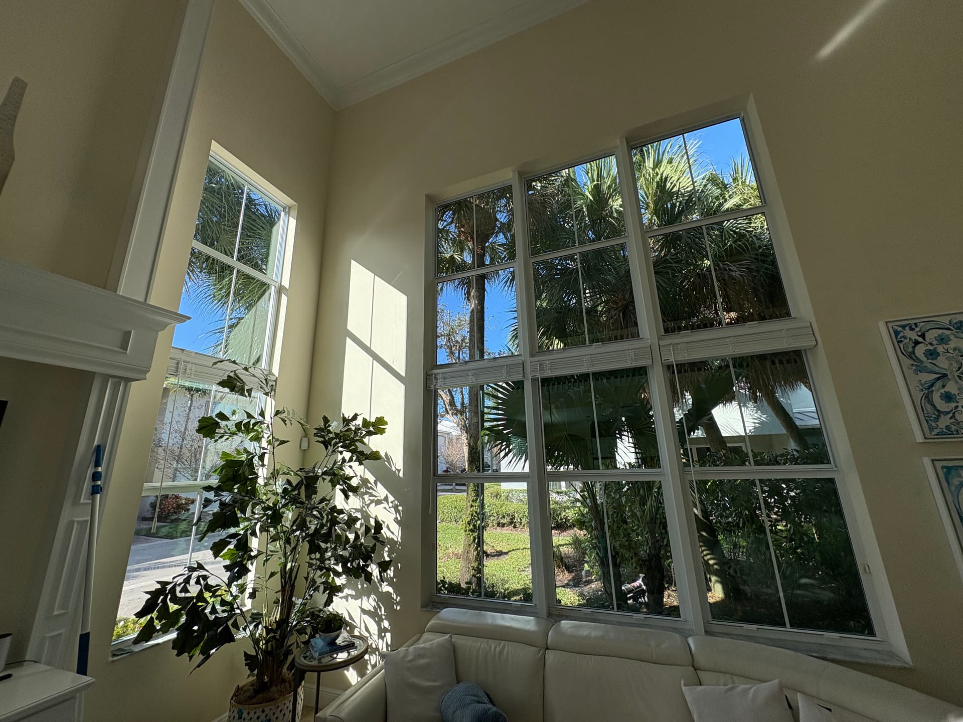 Gallery photos for Brighten Your Space with Expert Window Cleaning: Image #3