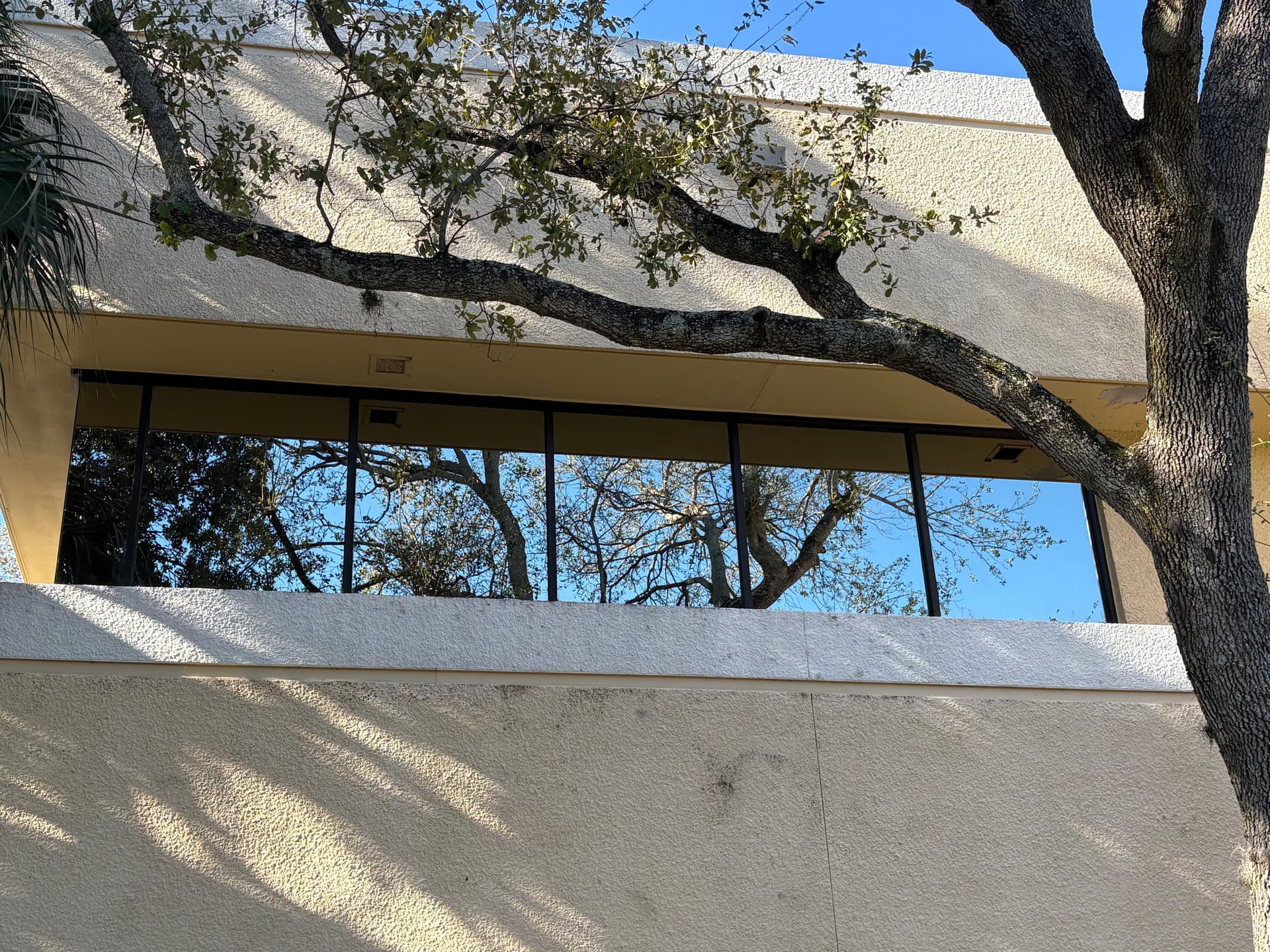 Gallery photos for Gleaming Windows at Modern Commercial Building: Image #3