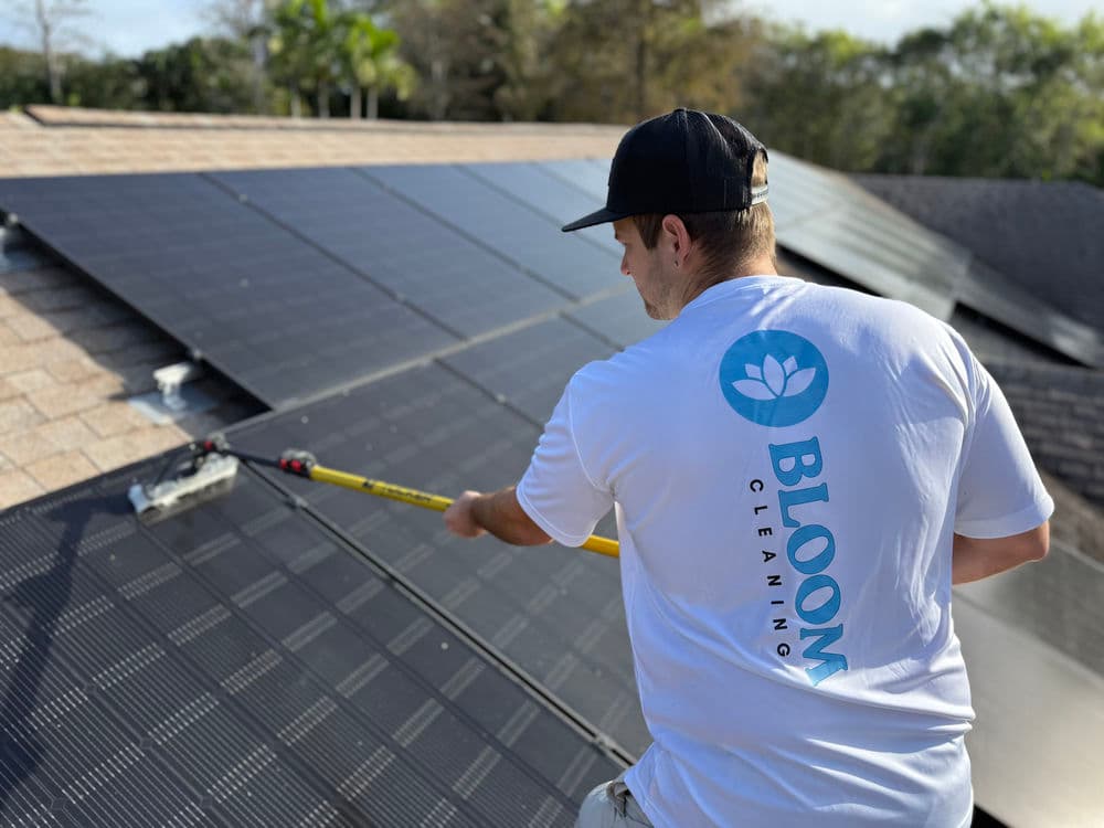 Solar Panel Cleaning image