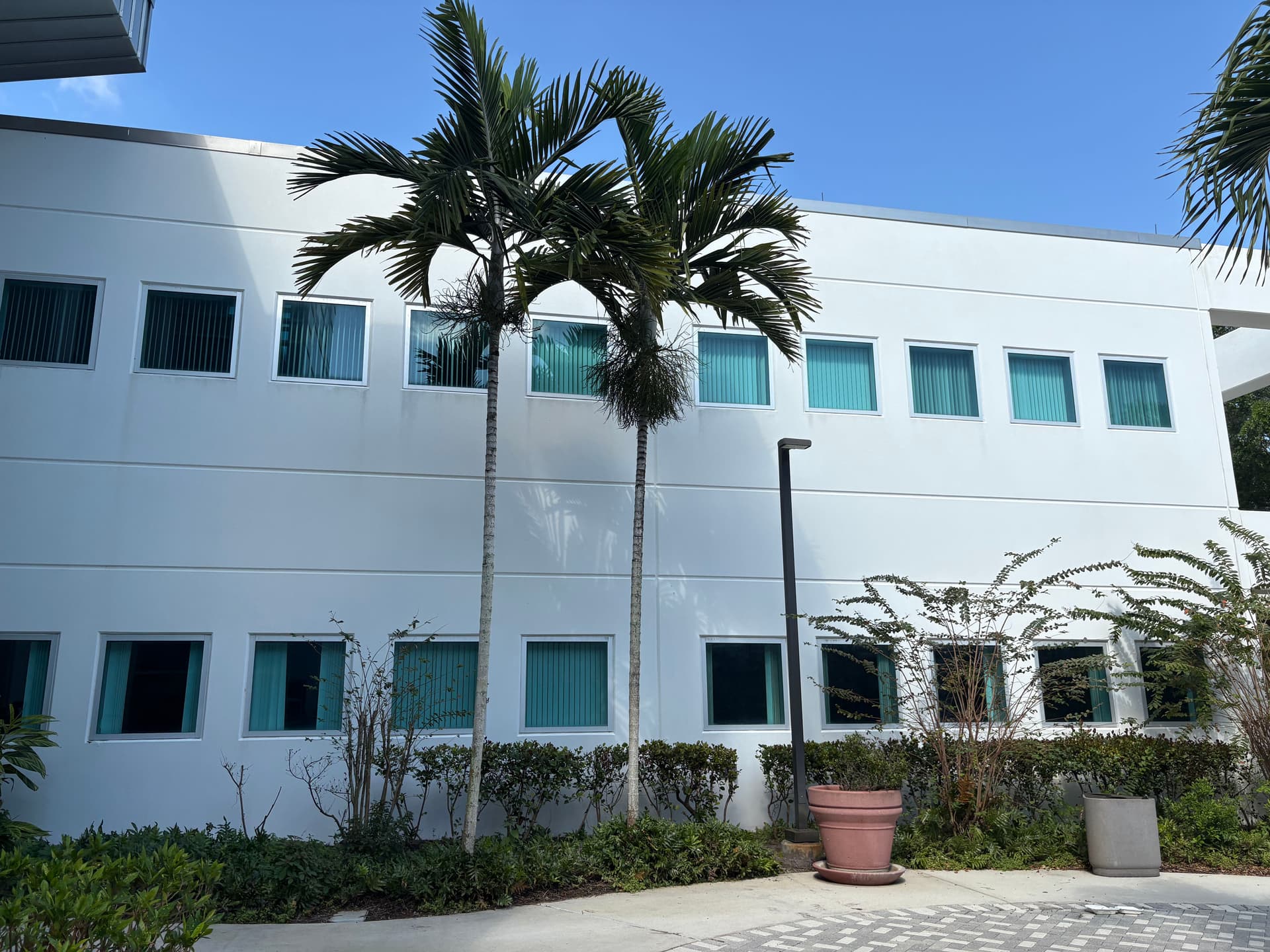 Gallery photos for Full Campus Window Cleaning at Palm Beach State College: Image #1